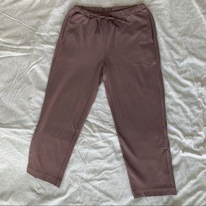 Aritzia Pants